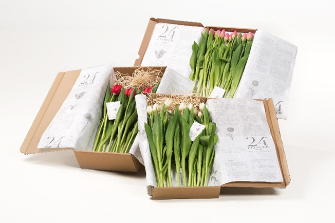 packaging_flores_4